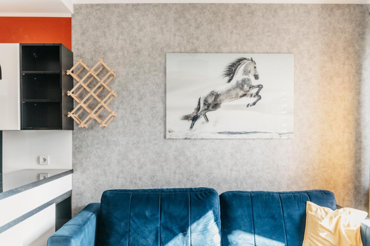 Nocosfera Apartament Stawiszynski Kaliszki Exteriör bild